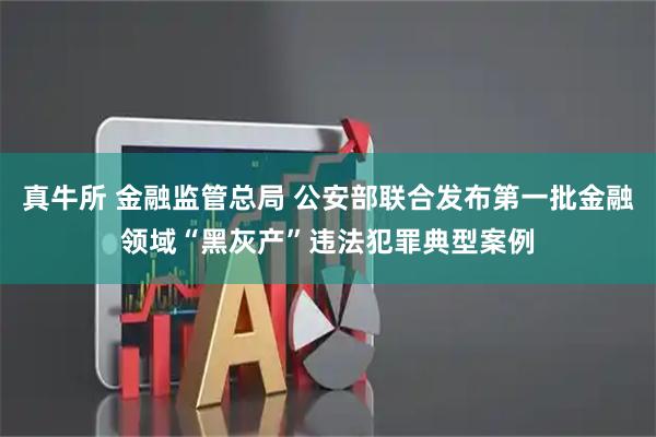 真牛所 金融监管总局 公安部联合发布第一批金融领域“黑灰产”违法犯罪典型案例