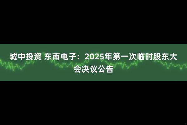 城中投资 东南电子：2025年第一次临时股东大会决议公告
