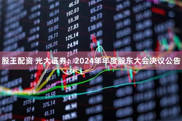 股王配资 光大证券：2024年年度股东大会决议公告