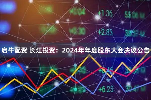 启牛配资 长江投资：2024年年度股东大会决议公告