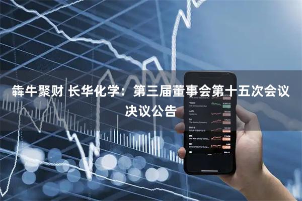 犇牛聚财 长华化学：第三届董事会第十五次会议决议公告
