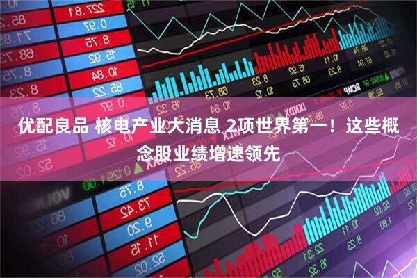 优配良品 核电产业大消息 2项世界第一！这些概念股业绩增速领先