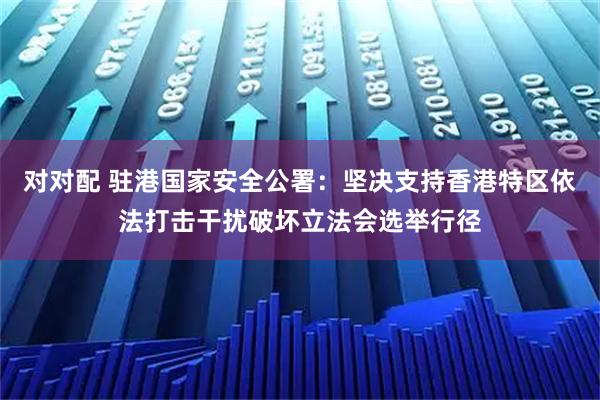 对对配 驻港国家安全公署：坚决支持香港特区依法打击干扰破坏立法会选举行径