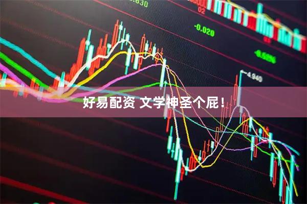 好易配资 文学神圣个屁！
