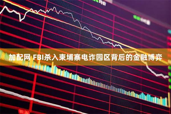 加配网 FBI杀入柬埔寨电诈园区背后的金融博弈