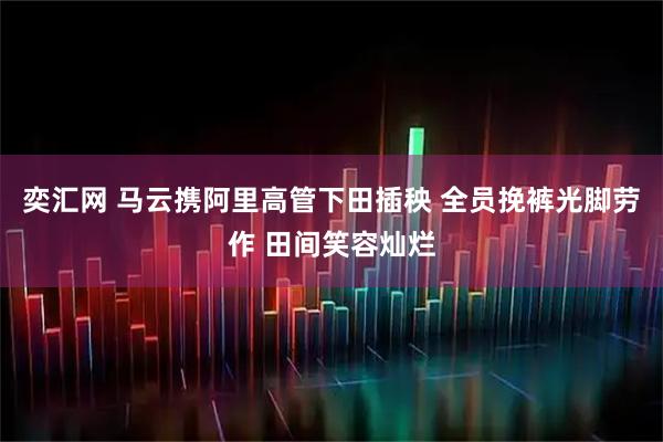 奕汇网 马云携阿里高管下田插秧 全员挽裤光脚劳作 田间笑容灿烂